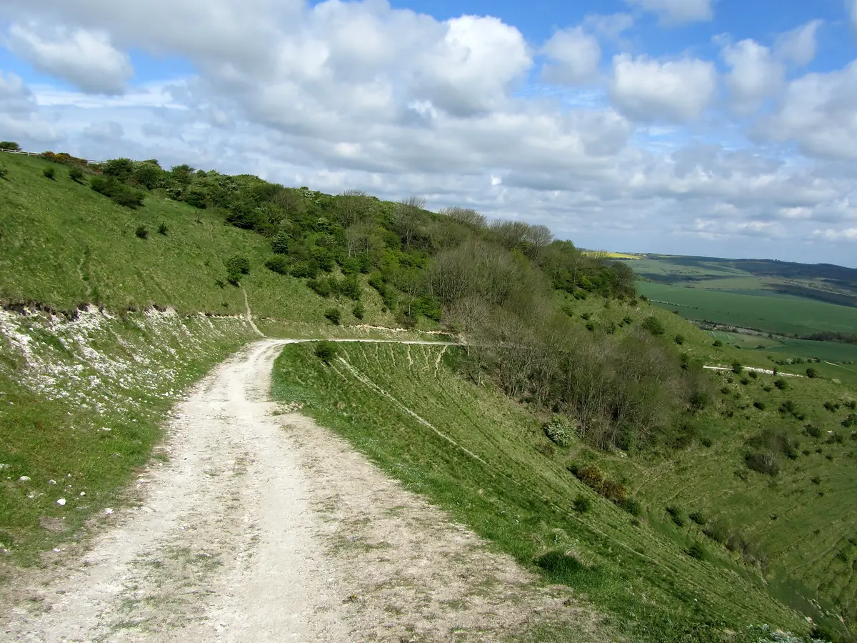 Chalk track along the South Downs escarpment on a bright day